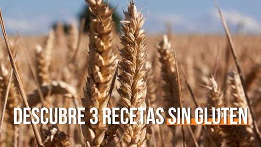 Descubre 3 recetas Sin Gluten